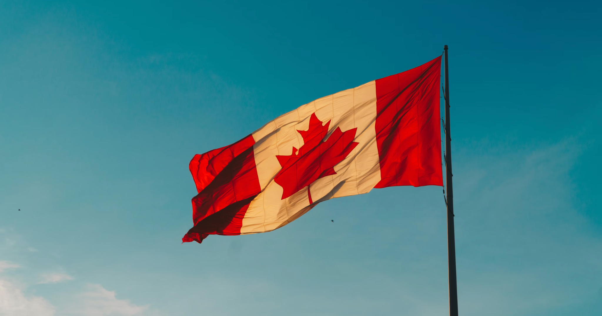 How Canadian Tech Innovation Drives the Evolution of Different Types of Online Slots